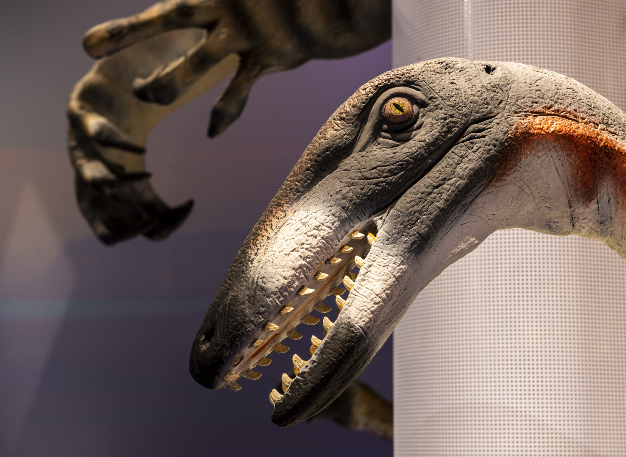 Det händer på Naturhistoriska riksmuseet sommaren 2021